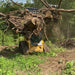 Stinger Attachments CG - XD Clam Grapple For Skid Steers - Stinger Attachments - Beacon Attachments