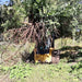 Stinger Attachments Skid Steer Tree Puller (STP) - Stinger Attachments - Beacon Attachments