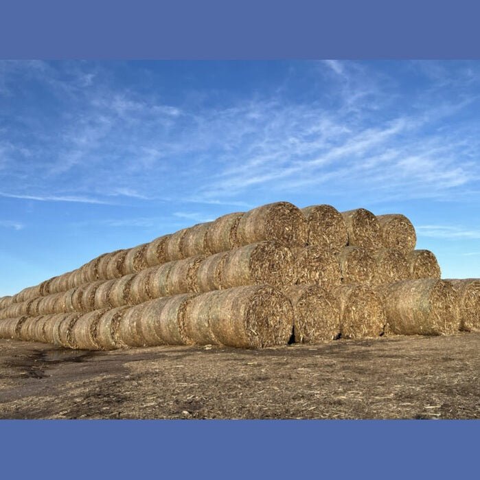 Stinger Attachments Wheel Loader Bale Spear – Series 5 (BS5 - 3) 3 Bale or (BS5 - 5) 5 Bale Large Round Bale Mover - Stinger Attachments - Beacon Attachments